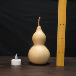 天然のひょうたんランプとLEDライト台付き