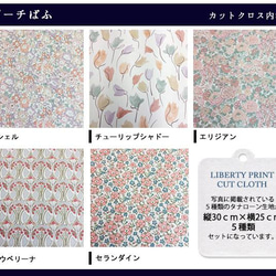 リバティ【カットクロス】生地「ピーチぱふ」ベージュオレンジ系　5種セット　はぎれ　布　綿　LIBERTY 3枚目の画像