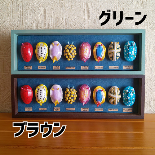 ウミウシ標本 マグネットセット8種 マグネット ﾅﾐｺ 通販 13387798