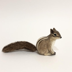 シマリス　リース（大、中）　羊毛フェルト シマリス リース（大、中） 羊毛フェルト