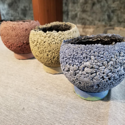 シルバー 花模様 丸型皿 木箱付き シルバー 花模様 丸型皿 木箱付き 楽天市場 | 木ノ花 Market -
