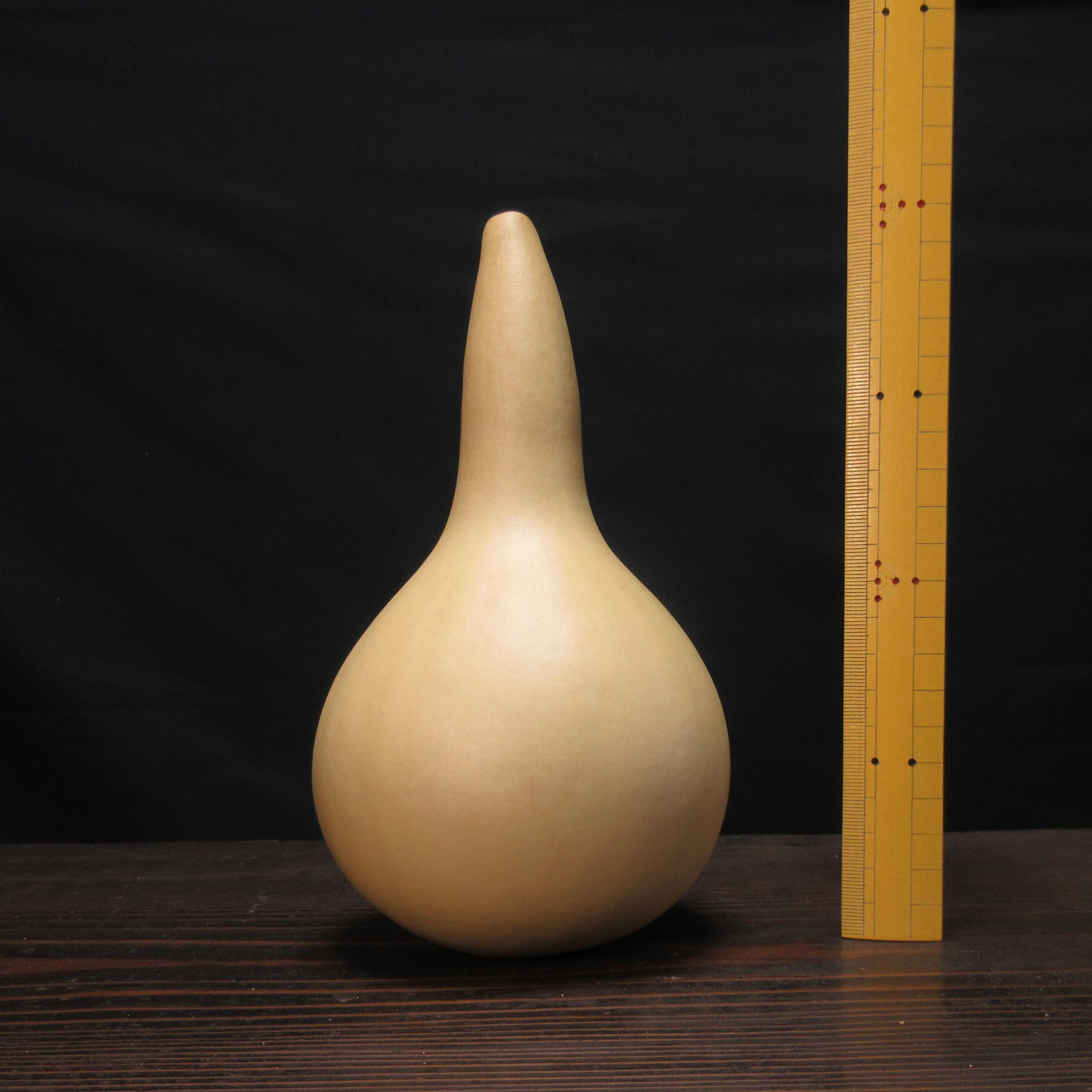 ひょうたんランプが作れる天然素材【SO_M04】 その他素材 京町家