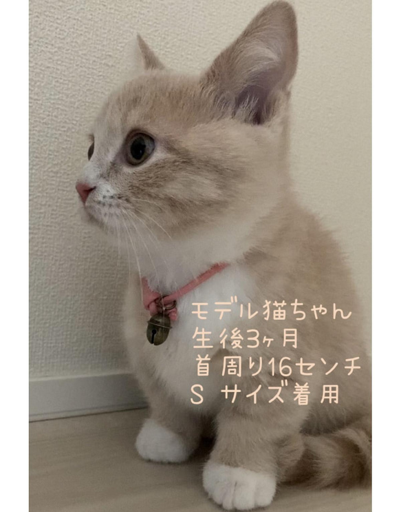 猫ちゃんの首輪　★ドングリ鈴と迷子タグラベル付き★ 5枚目の画像