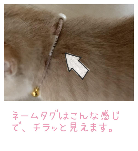 迷子札付き　猫ちゃん首輪　優しいパイル素材 6枚目の画像