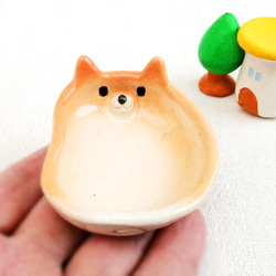 Mame Shiba Inu 盤子小陶器 第5張的照片