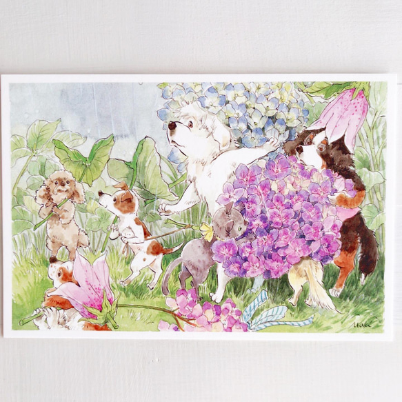 Fairy dogsポストカードセット 4枚目の画像