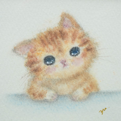 【原画・マットフレーム付】「考える猫」　パステル・色鉛筆イラスト　ネコ　ねこ　かわいい　動物 3枚目の画像