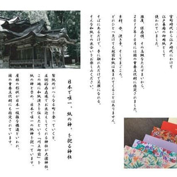 越前和紙花×ドライフラワーMIXBOX 7枚目の画像