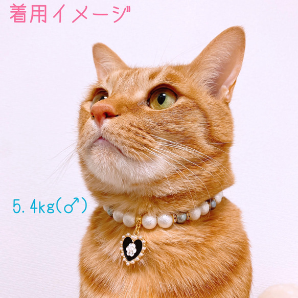 猫の首輪 パールネックレス首輪♡おしゃれハートチャーム✨ 5枚目の画像