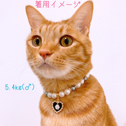猫の首輪 パールネックレス首輪♡おしゃれハートチャーム✨ 7枚目の画像