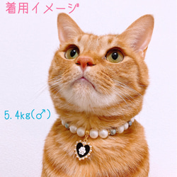 猫の首輪 パールネックレス首輪♡おしゃれハートチャーム✨ 6枚目の画像