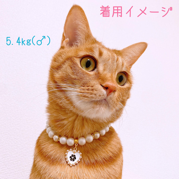 猫の首輪 パールネックレス首輪♡おしゃれハートチャーム✨ 7枚目の画像