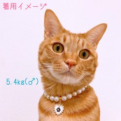 猫の首輪 パールネックレス首輪♡おしゃれハートチャーム✨ 5枚目の画像