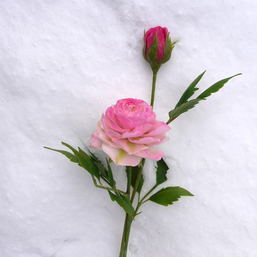 樹脂粘土の花ピンクのバラとつぼみ 各1本セット  その他アート