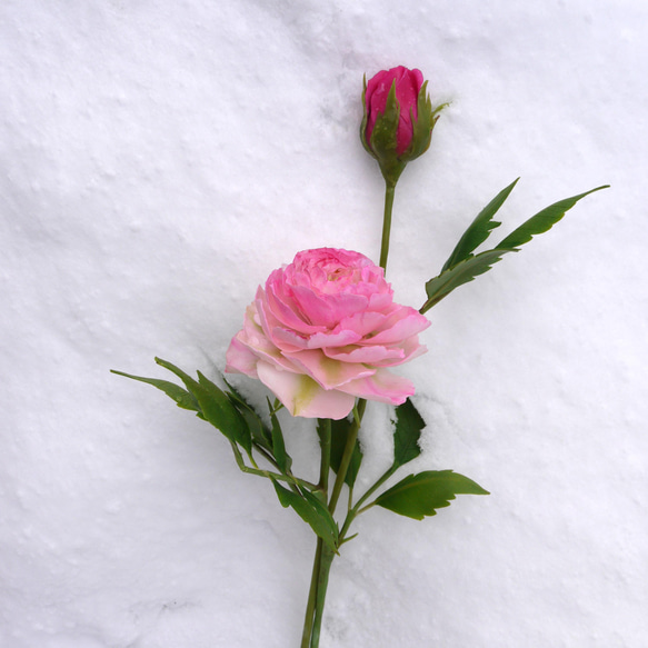 樹脂粘土の花【ピンクのバラとつぼみ　各1本セット　】 3枚目の画像