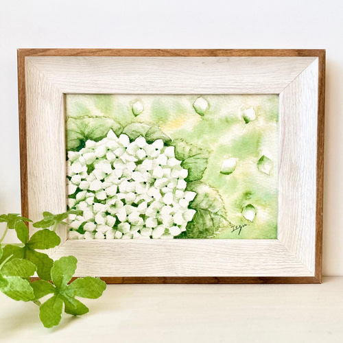 透明水彩画 A4ポスター「アナベル」北欧イラスト あじさい 紫陽花