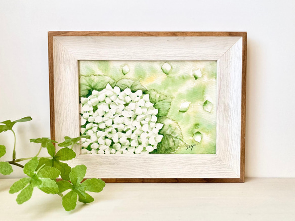 透明水彩画 A4ポスター「アナベル」北欧イラスト あじさい 紫陽花
