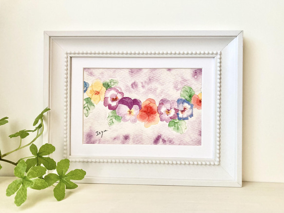 透明水彩画 A4ポスター「すみれ色のパンジー」イラスト ビオラ 花