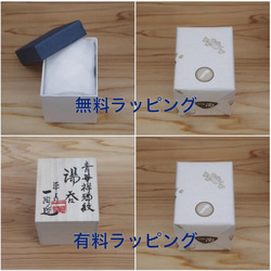 【再販】葉桜紋豆皿 約9.7cm 10枚目の画像