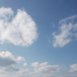 ☆そよかぜ様専用ページ☆水引松結びマジェステ(黒金) 1枚目の画像