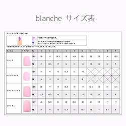 ネイルチップ★BLANCHE★ガラスフレンチ　シルバーber 3枚目の画像