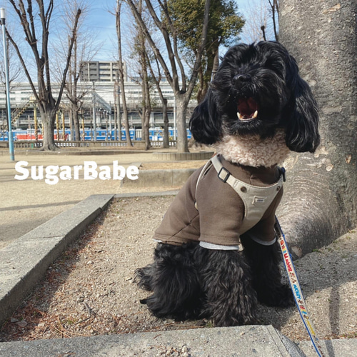 お待たせ! 犬服 シンプル カジュアル おしゃれ 可愛い 重ね着風 切りっ 犬服・アクセサリー