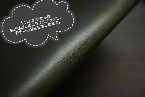 Country:カントリー / Green 〜クロムエクセルレザーのマネークリップ〜【受注制作品】 7枚目の画像
