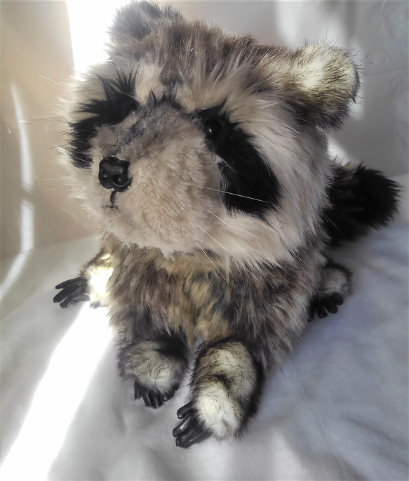 受注生産・アライグマのぬいぐるみ（テディベアコンベンション銅賞作品） 3枚目の画像