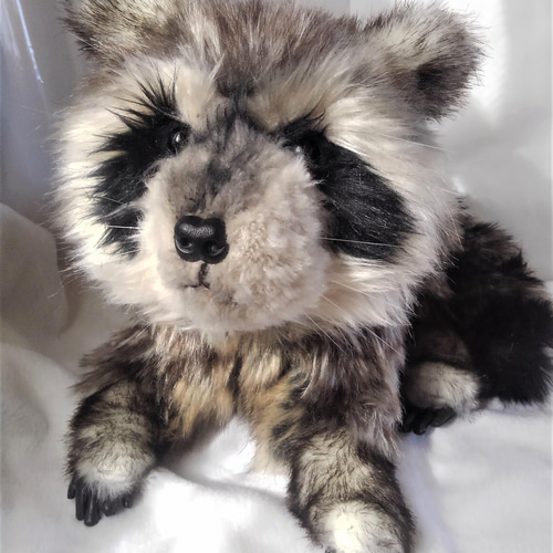 受注生産・アライグマのぬいぐるみ(テディベアコンベンション 受注生産・アライグマのぬいぐるみ(テディベアコンベンション