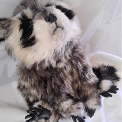 9511b5685f63c5457a5909b3f559ed