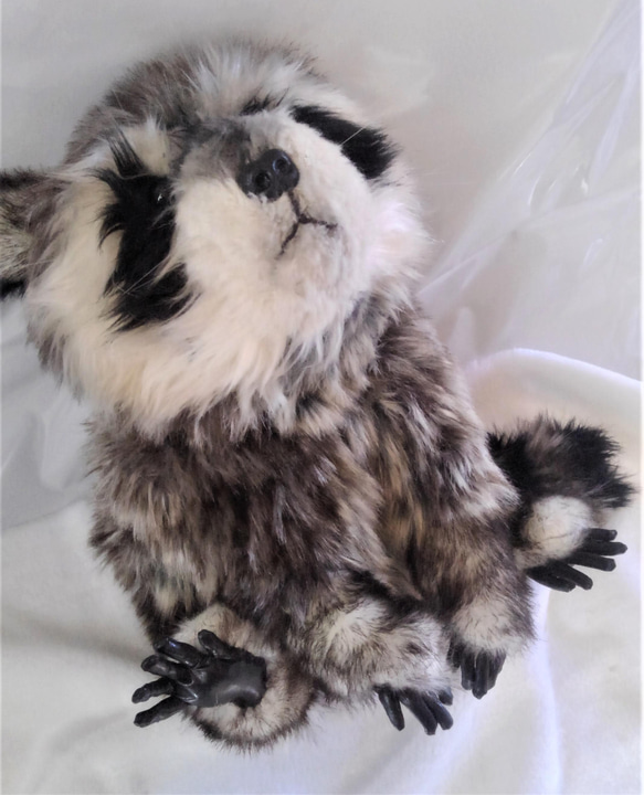 受注生産・アライグマのぬいぐるみ（テディベアコンベンション