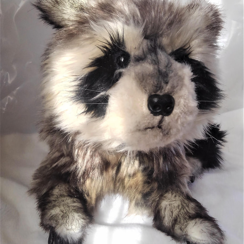 受注生産・アライグマのぬいぐるみ（テディベアコンベンション