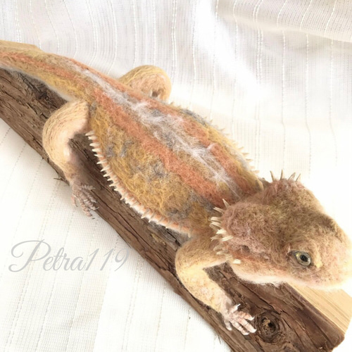 羊毛フェルト☆フトアゴヒゲトカゲun 羊毛フェルト ペトラ119 通販