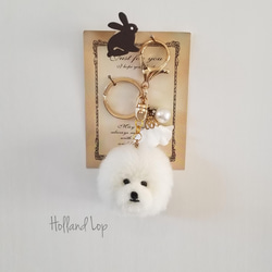 キーホルダー ビションフリーゼ 《送料無料》 キーホルダー ❁てんと