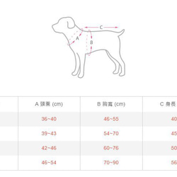 柴犬大學 MIT優質狗狗雨衣 穿脫方便 中、小型犬體型專用 第6張的照片