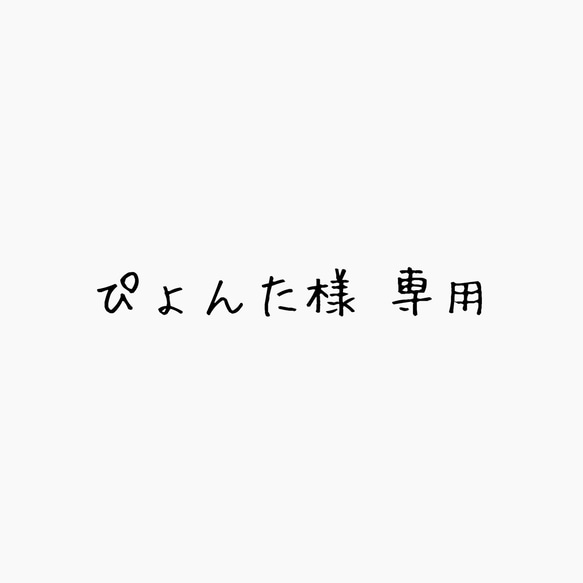 ぴょんた様専用ページ 1枚目の画像