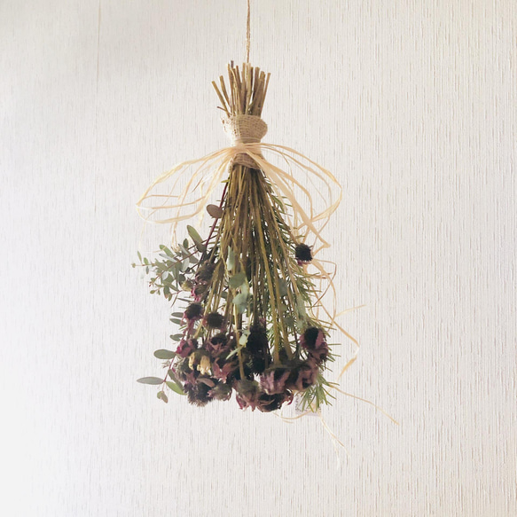 送料無料】エキナセア ユーカリ フライング スワッグ ドライフラワー