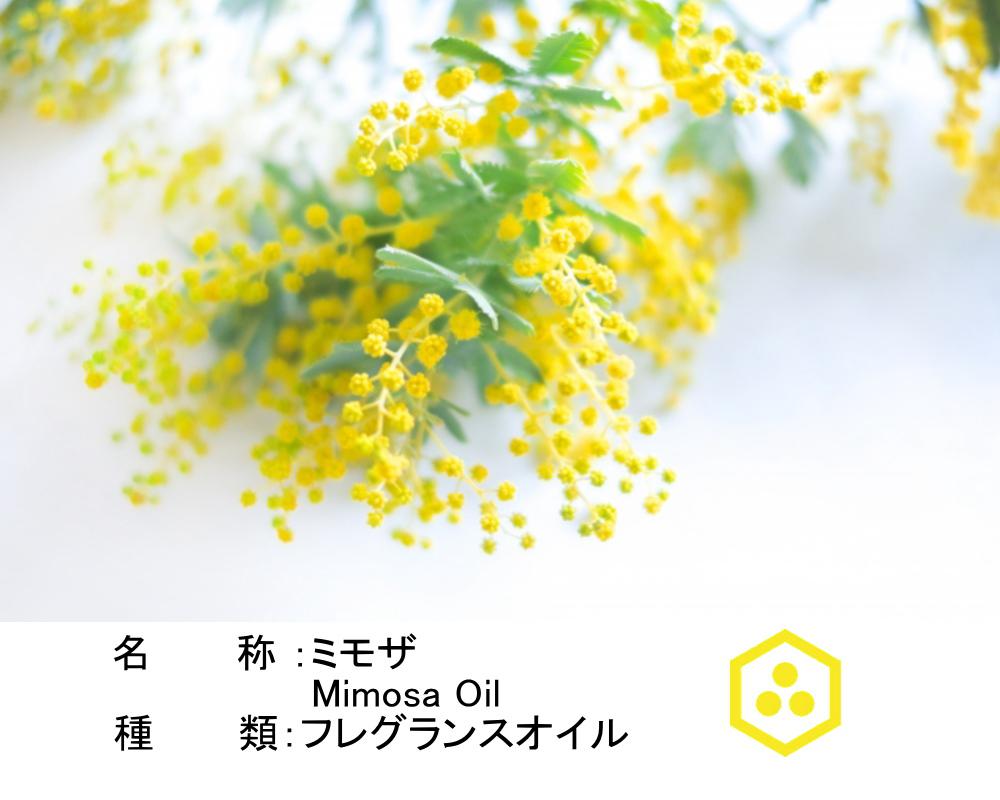 NOTO ミモザのフレグランスアロマオイル10ml Mimosa フレグランスオイル