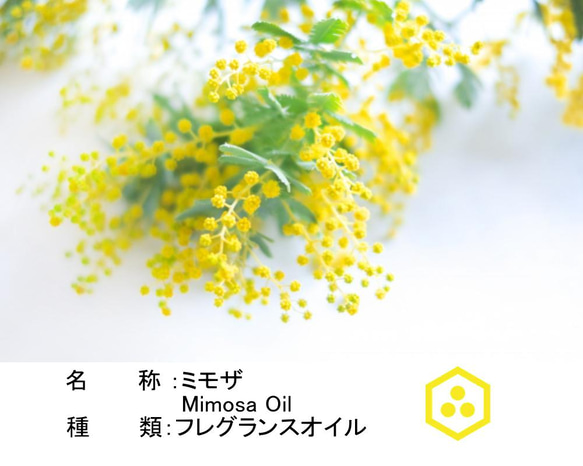 NOTO ミモザのフレグランスアロマオイル10ml Mimosa フレグランスオイル 3枚目の画像