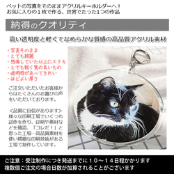 送料無料｜オーダーメイド-ペットの写真でアクリルキーホルダー/ストラップ/チャーム/バッジ 猫 犬：フォト 11枚目の画像