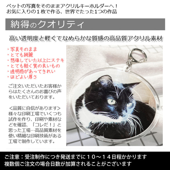 送料無料｜オーダーメイド-ペットの写真でアクリルキーホルダー/ストラップ/チャーム/バッジ 猫 犬：フォト 11枚目の画像