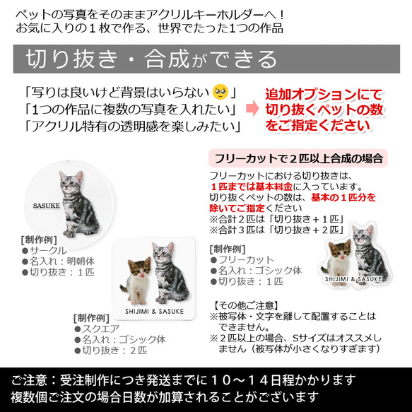 送料無料｜オーダーメイド-ペットの写真でアクリルキーホルダー/ストラップ/チャーム/バッジ 猫 犬：フォト 10枚目の画像