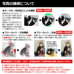 送料無料｜オーダーメイド-ペットの写真でアクリルキーホルダー/ストラップ/チャーム/バッジ 猫 犬：フォト 16枚目の画像