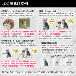 送料無料｜オーダーメイド-ペットの写真でアクリルキーホルダー/ストラップ/チャーム/バッジ 猫 犬：フォト 13枚目の画像