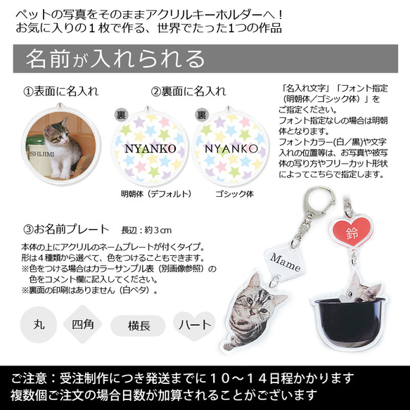 送料無料｜オーダーメイド-ペットの写真でアクリルキーホルダー/ストラップ/チャーム/バッジ 猫 犬：フォト 6枚目の画像