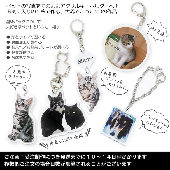 送料無料｜オーダーメイド-ペットの写真でアクリルキーホルダー/ストラップ/チャーム/バッジ 猫 犬：フォト 2枚目の画像