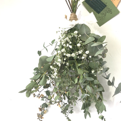 香り立つ無農薬　ユーカリ4種とかすみ草のボリュームスワッグ　銀世界　ポポラス　パルブラ 1枚目の画像