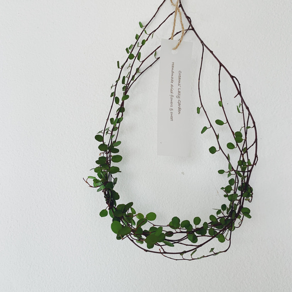 ドライミモザ（スワッグ40）とワイヤープランツリースC 4枚目の画像