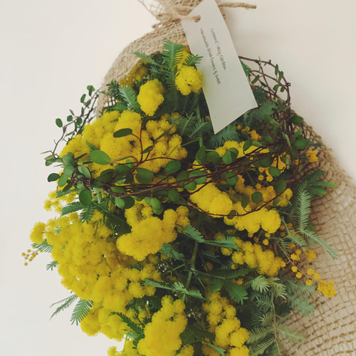 ドライミモザ（スワッグ40）とワイヤープランツリースC スワッグ