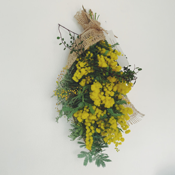 ドライミモザ（スワッグ40）とワイヤープランツリースC 1枚目の画像